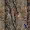 NFL Houston Texans Realtree AP Camo AirPods Pro 2nd Gen Skin