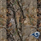 NFL Los Angeles Rams Realtree AP Camo iPhone 14 Folio Case