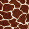 Giraffe Galaxy Z Flip6 Skin