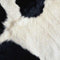 Cow Wii U (Console + 1 Controller) Skin