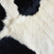 Cow Galaxy A20 Clear Case
