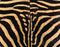 Zebra DS Lite Skin