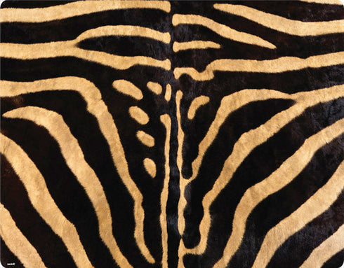 Zebra Amazon Fire TV Skin