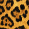 Leopard SteelSeries Rival 600 Gaming Mouse Skin