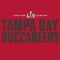 NFL Super Bowl LV Champions Tampa Bay Buccaneers iPhone 14 Folio Case