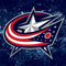 NHL Columbus Blue Jackets Iced Pixel Skins