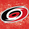 NHL Carolina Hurricanes Iced iPad Cases