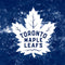 NHL Toronto Maple Leafs Iced Nintendo Skins