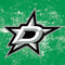 NHL Dallas Stars Iced iPhone Cases