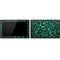 Black & Green Surface Pro Tablet Skin