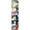 Chromatic 09 Wii Remote Controller Skin