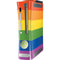 The Rainbow Flag Xbox 360 (Includes HDD) Skin