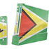 Guyana Flag Distressed Nintendo Skins