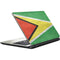 Guyana Flag Distressed Satellite L50-B / S50-B Skin