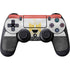 Egypt Flag Distressed PlayStation PS4 Skins