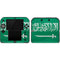 Saudi Arabia Flag Distressed Nintendo 2DS Skin