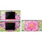 Ginseng Flower DS Lite Skin