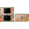 Colorful Mind DS Lite Skin