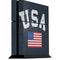 USA with American Flag PlayStation PS4 Skins