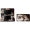 DJ Spinning 3DS (2011) Skin