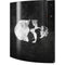 Silent Skull Playstation 3 & PS3 Skin