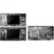 Music Pattern DS Lite Skin