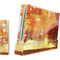 Falling Notes Wii (Includes 1 Controller) Skin