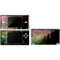 Rasta Color Keys DS Lite Skin