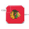 NHL Chicago Blackhawks Solid Background 85W Power Adapter (15 and 17 inch MacBook Pro Charger) Skin