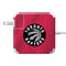 NBA Toronto Raptors Logo 85W Power Adapter (15 and 17 inch MacBook Pro Charger) Skin