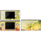 Profile of the Lion of Judah DS Lite Skin
