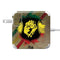 Lion of Judah Shield 85W Power Adapter (15 and 17 inch MacBook Pro Charger) Skin