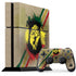 Lion of Judah Shield PlayStation PS4 Skins