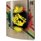 Lion of Judah Shield Playstation 3 & PS3 Skin