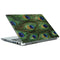 Peacock Portege Z30t/Z30t-A Skin