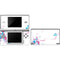 Violet Harmony (Hummingbird) DS Lite Skin