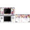 Painted Flowers DS Lite Skin