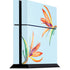 Birds of Paradise Summer PlayStation PS4 Skins