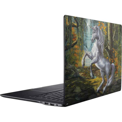 Unicorn of the Willow by Ed Beard Jr Ativ Book 9 (15.6in 2014) Skin