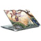 The Introduction by Amy Brown Portege Z30t/Z30t-A Skin