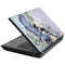Creation by Amy Brown Lenovo T420 Skin