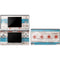 Chicago Flag Dark Wood DS Lite Skin