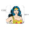 DC Comics Wonder Woman 85W Power Adapter (15 and 17 inch MacBook Pro Charger) Skin