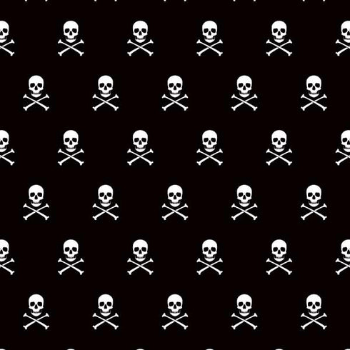 Skull and Crossbones (white) Nintendo Switch Lite Skin