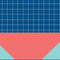 Checkered Split DS Lite Skin
