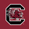 University of South Carolina Gamecocks Logo Red Wii (Includes 1 Controller) Skin