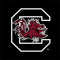 University of South Carolina Gamecocks Logo Black Xbox 360 (Includes HDD) Skin