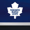 NHL Toronto Maple Leafs Jersey DS Lite Skin