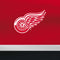 NHL Detroit Red Wings Jersey Nintendo Switch Lite Skin