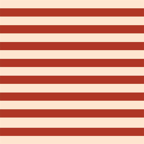 Neutral Stripes Apple Pencil (1st Gen, 2017) Skin